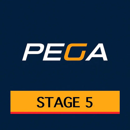 Stage 5  PEGA BFXX Ceramic Racing Applications ONLY
