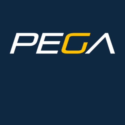 Ferrari 355 348 Modial 3.4 T Clutch Rebuild PN: 138979 157756 (F129)